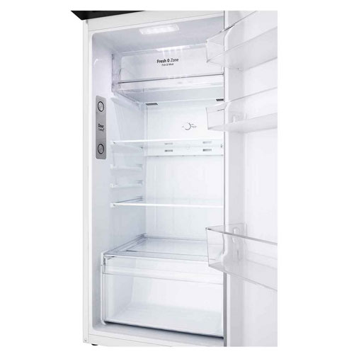 Frigorífico 2 puertas LG GTBV20SWZJD 168x56 No Frost E Blanco